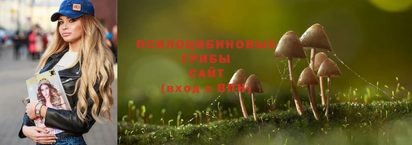 индика Навашино