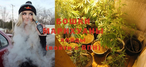 крисы Липки