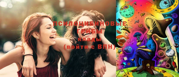 крисы Липки