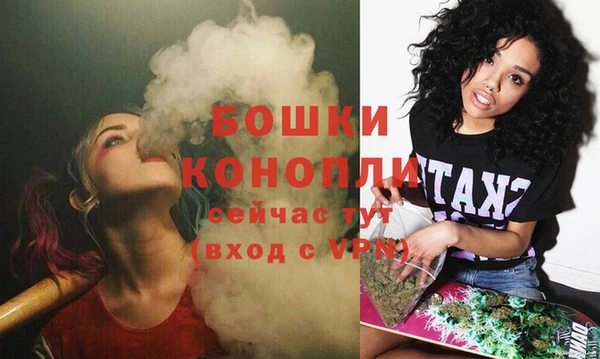 прущий лед Лиски