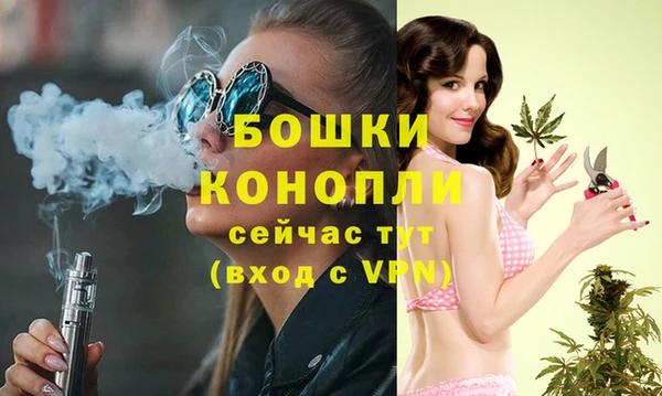 индика Навашино