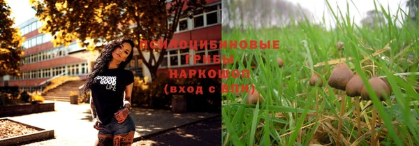 прущий лед Лиски