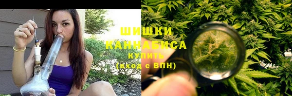 крисы Липки