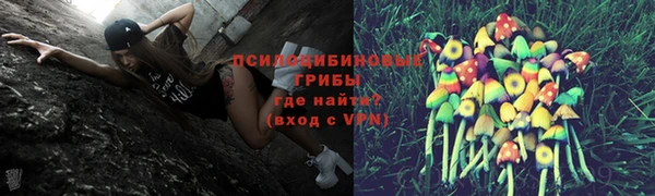 крисы Липки