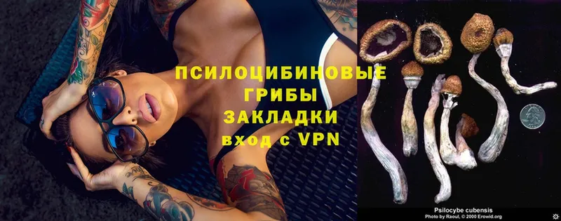 дарнет шоп  МЕГА   Псилоцибиновые грибы мухоморы  Муром 