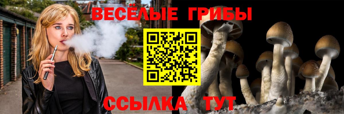 Псилоцибиновые грибы мухоморы Муром