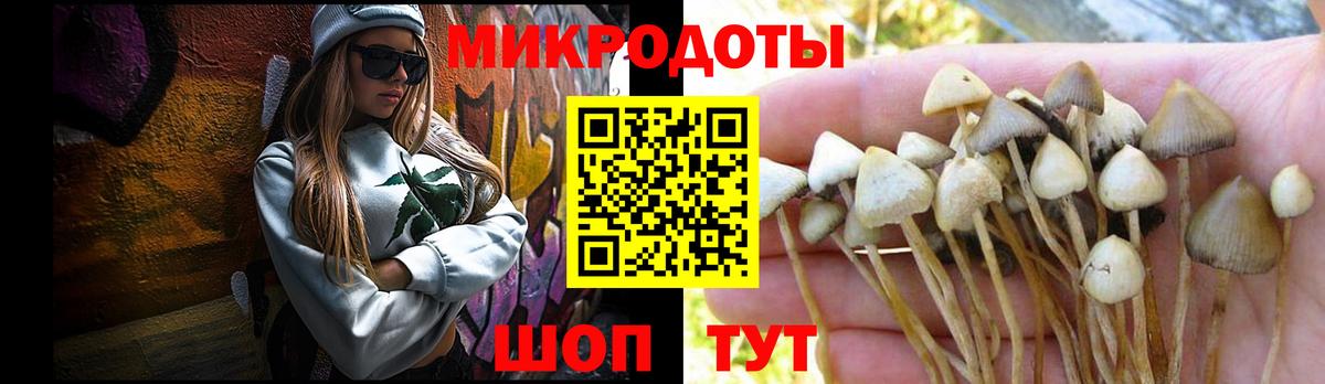 Галлюциногенные грибы мицелий Муром